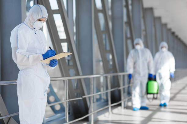 Best Dehumidification Services  in Quincy, MI