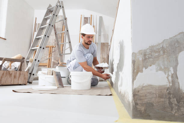 Best Mold Prevention Services  in Quincy, MI