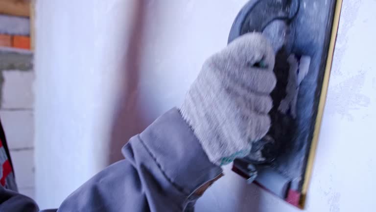 Best Mold Damage Restoration  in Quincy, MI