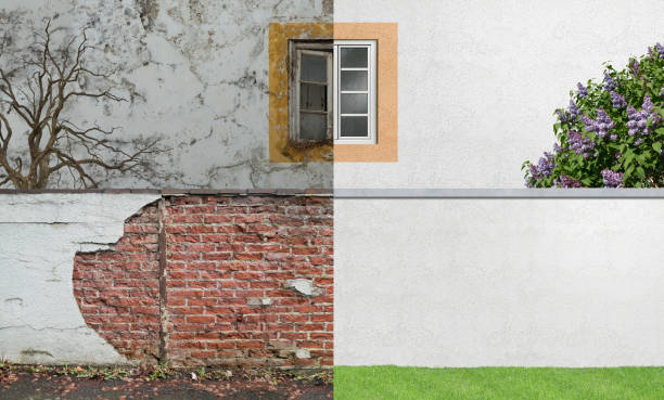Best Mold Removal for HVAC Installations  in Quincy, MI