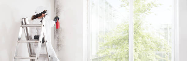 Best Air Quality Testing for Mold Spores  in Quincy, MI